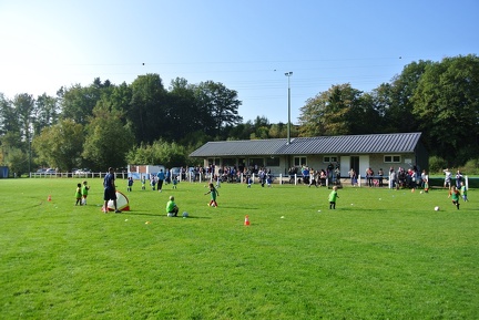 DSC 7331