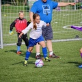 IMG 4930