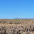IMG 7874