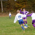 IMG 4616